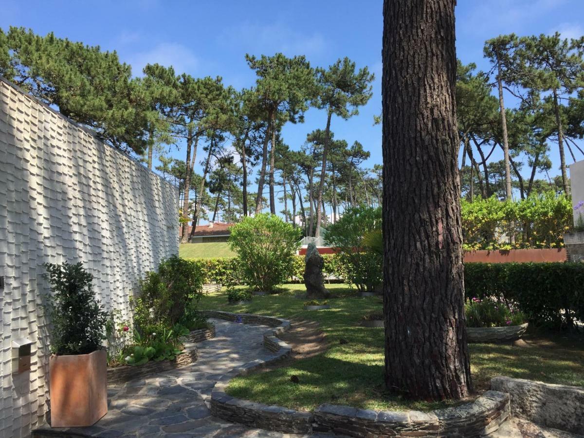 Ofir Beach House Bonanca Esposende Eksteriør billede